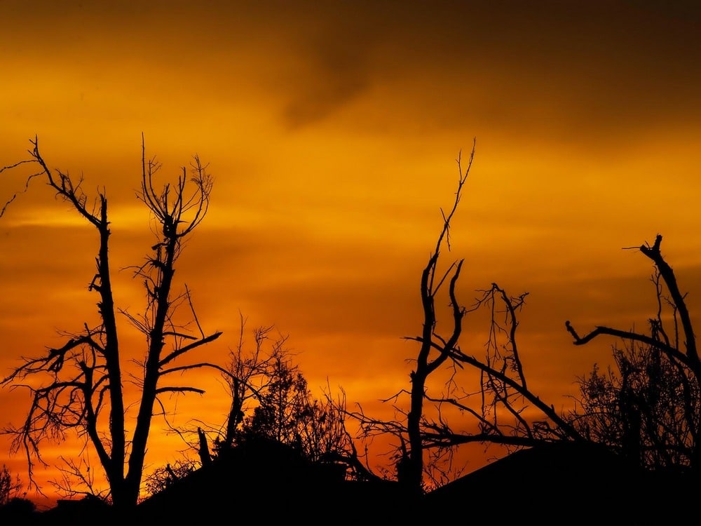 The Road to Cop 30 - mailchi.mp/nordsip/weeken…