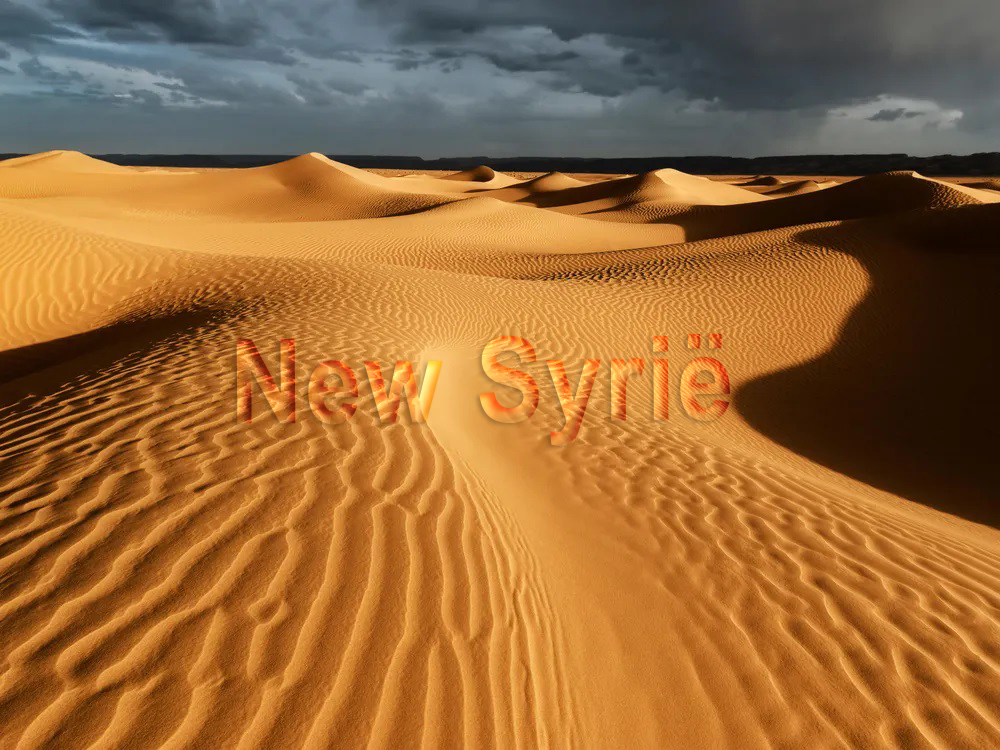 #syrië