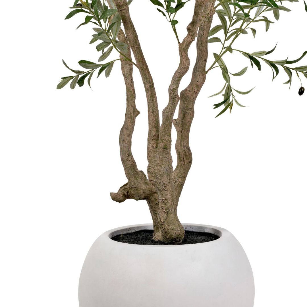 ClickStyleHome's tweet image. 🌿 Go BIG, this 250cm artificial potted olive tree brings lush leaves, textured trunks &amp;amp; black olives—with zero upkeep. No watering or pruning. Just Mediterranean style. #ArtificialOliveTree #HomeDecor #LuxuryInteriors #Greenery #StatementTree #FauxPlants clickstyle.co.uk/products/artif…