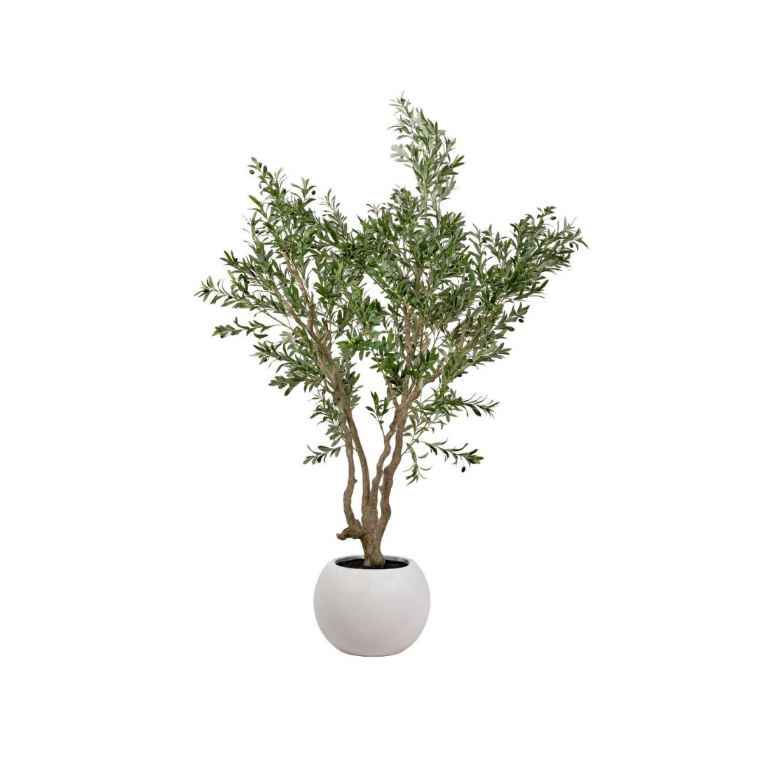 ClickStyleHome's tweet image. 🌿 Go BIG, this 250cm artificial potted olive tree brings lush leaves, textured trunks &amp;amp; black olives—with zero upkeep. No watering or pruning. Just Mediterranean style. #ArtificialOliveTree #HomeDecor #LuxuryInteriors #Greenery #StatementTree #FauxPlants clickstyle.co.uk/products/artif…