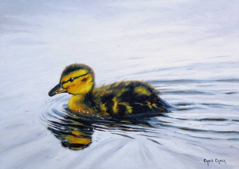Little swimmer, oil.
#painting #wales