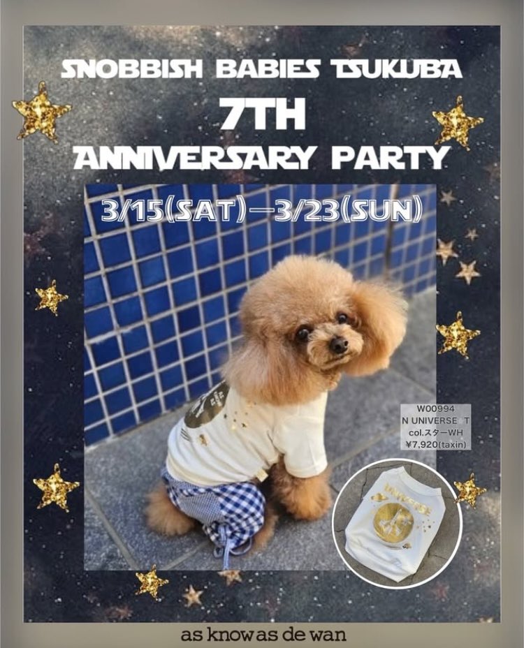 asknowasdewan's tweet photo. 駒沢店・つくば店の
周年祭がはじまりました✨✨

どちらもかわいい限定商品
発売中です🧸💫

#asknowas
#asknowasdewan
#snobbishbabies駒沢　
#snobbishbabiesつくば https://t.co/8EN0Yz0icn