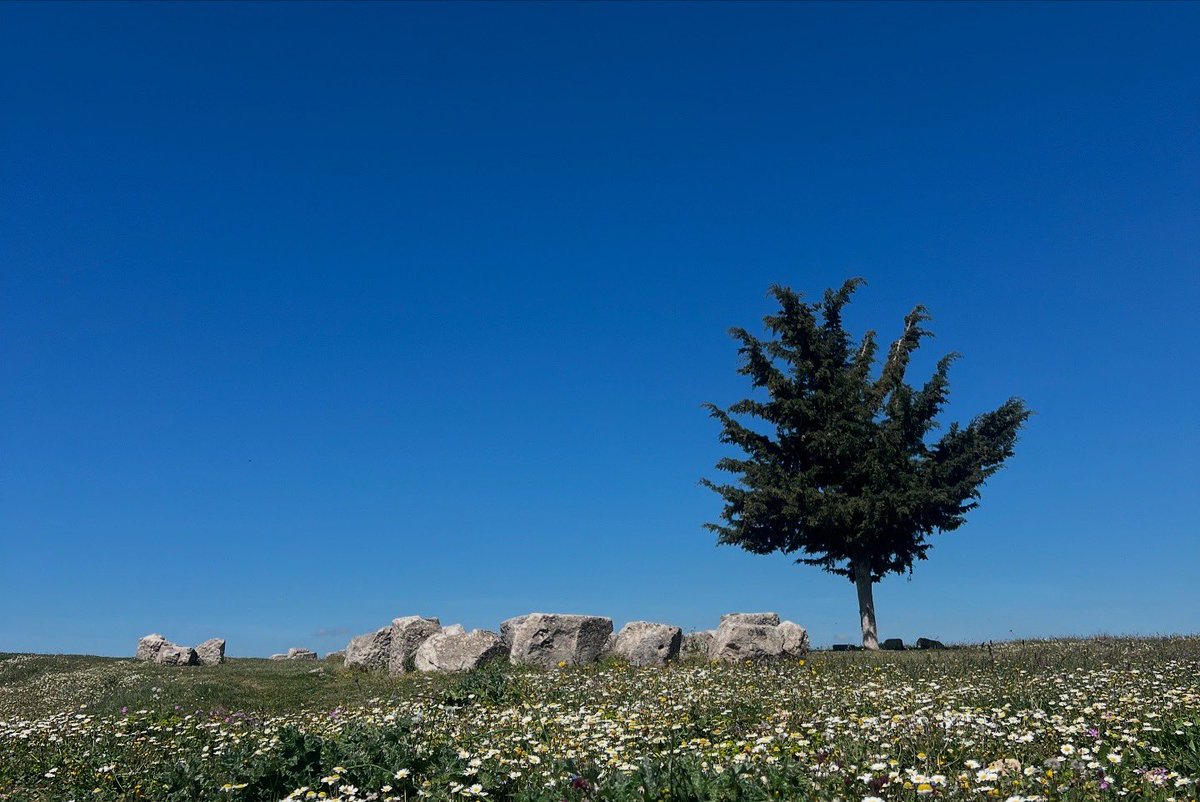 BGonxhja's tweet photo. Mëngjes Pranveror në Parkun Arkeologjik Apoloni dhe Bylis  🏛️😍🌿🌸☀️ https://t.co/nQRpLIecSK