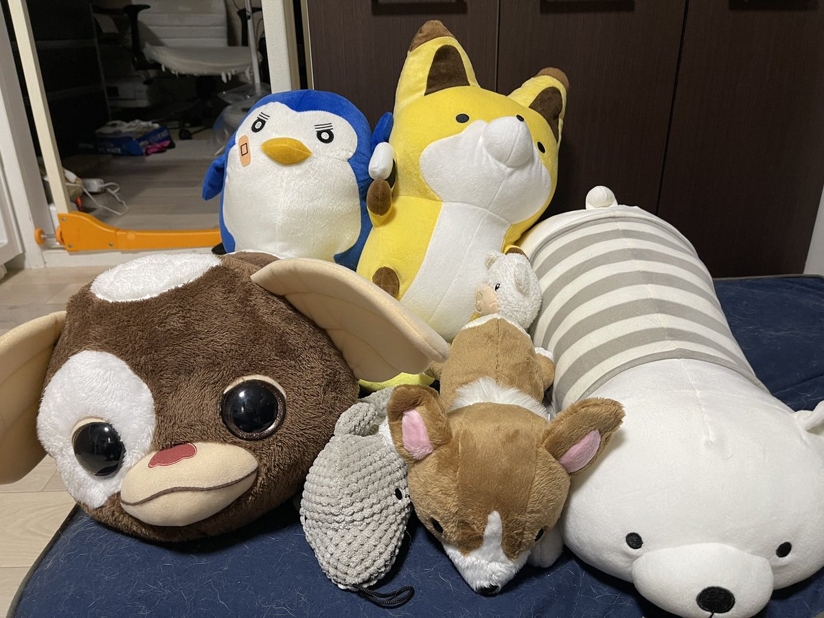 しまってあったぬいぐるみたちとニトリで買ってきたシロクマちゃんたちをソルに贈呈💕

クンクンするだけでイマイチな反応だけど少しでもソルが遊んだりしてくれたらいいなぁ
もちろん普通のおもちゃもあるけどやっぱり遊び方がわからないみたい💦
いつもルナのを取ってみて怒られてだったから😅