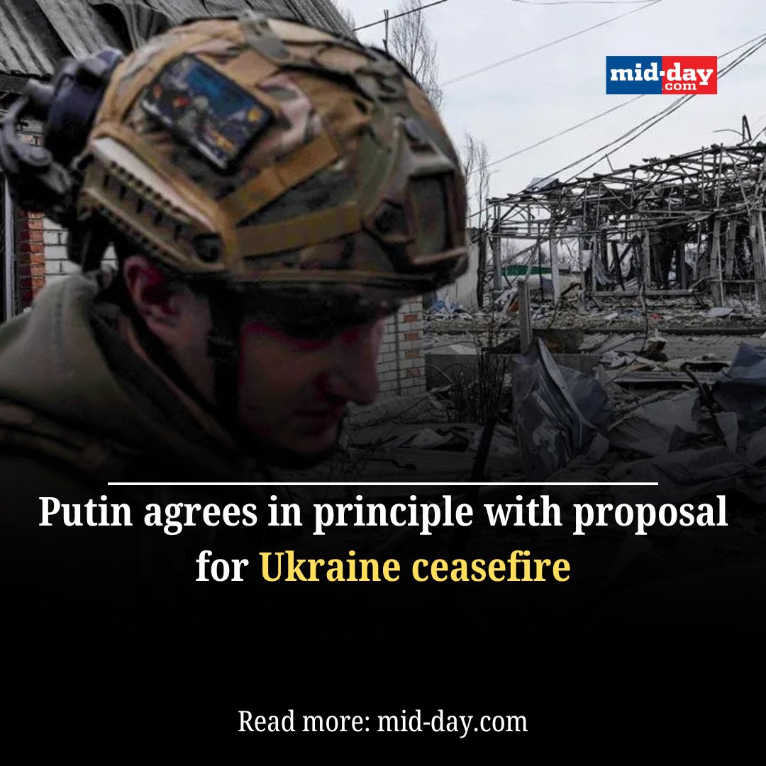 mid_day's tweet image. Putin agrees 'in principle' to a 30-day Ukraine ceasefire, but stresses the need for lasting peace. Talks on terms still underway. 

#UkraineCeasefire #PutinStatement #RussiaUkraineWar 

mid-day.com/news/world-new…