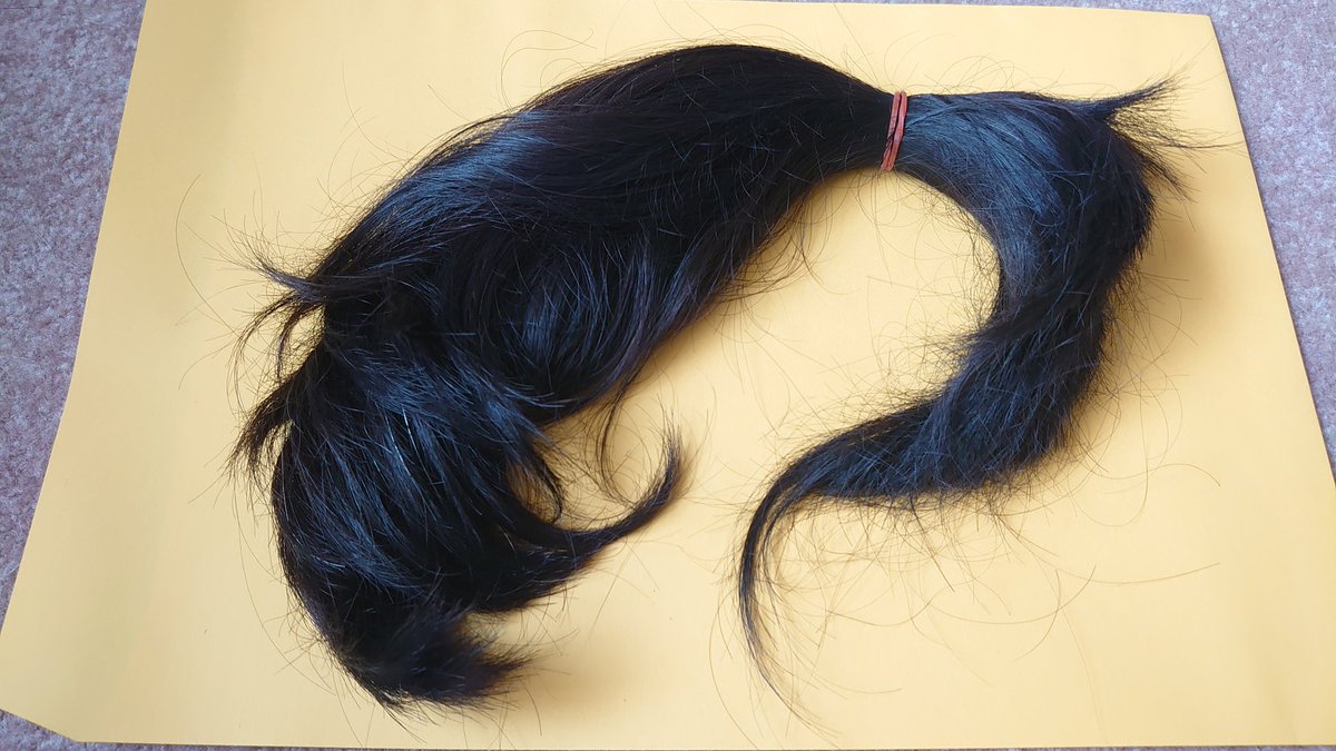 「30センチ越えたので、おヘアドネーションしますわ(二回目 」|A士🇹🇼＠高雄警備府のイラスト