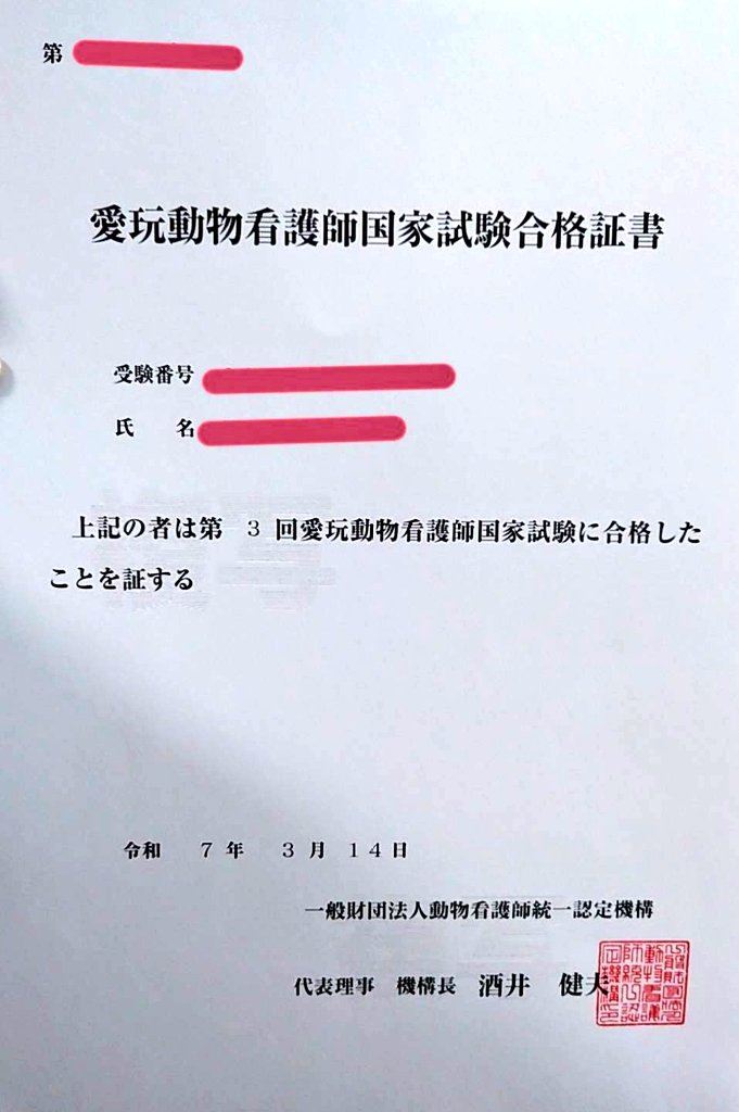 299sann's tweet photo. 愛玩動物看護師国家試験に合格しました。
愛猫の看取りと重なり一時は断念するつもりでしたが、今となれば全てが思い出で、やりきれて本当に良かったです。 https://t.co/IUeESsdCBP