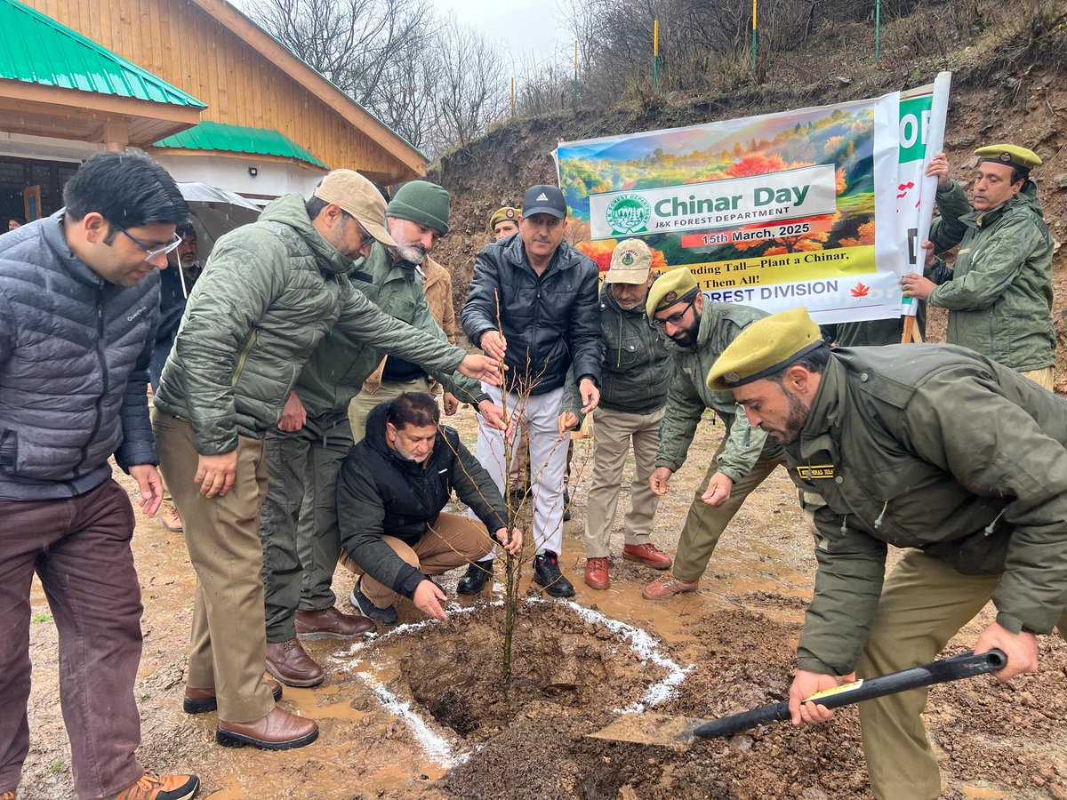 wasimdfo's tweet photo. 𝘛𝘩𝘦 𝗖𝘩𝘪𝘯𝘢𝘳  𝘱𝘭𝘢𝘯𝘵𝘢𝘵𝘪𝘰𝘯  𝘢𝘤𝘵𝘪𝘷𝘪𝘵𝘪𝘦𝘴 𝘸𝘦𝘳𝘦 𝘤𝘰𝘯𝘥𝘶𝘤𝘵𝘦𝘥  𝘁𝗼𝗱𝗮𝘆 𝗼𝗻 𝟭𝟱𝘁𝗵 𝗼𝗳 𝗠𝗮𝗿𝗰𝗵 𝟮𝟬𝟮𝟱, 𝘢𝘵 𝘉𝘢𝘯𝘥𝘪𝘱𝘰𝘳𝘢 𝘢𝘯𝘥 𝘞𝘶𝘭𝘭𝘢𝘳 𝘝𝘢𝘯𝘵𝘢𝘨𝘦 𝘗𝘢𝘳𝘬, 𝘸𝘪𝘵𝘩 𝘁𝗵𝗲 𝘴𝘵𝘢𝘬𝘦𝘩𝘰𝘭𝘥𝘦𝘳𝘴. 
#𝗖𝗵𝗶𝗻𝗮𝗿𝗗𝗮𝘆🍁 https://t.co/FSxPZKpIHI