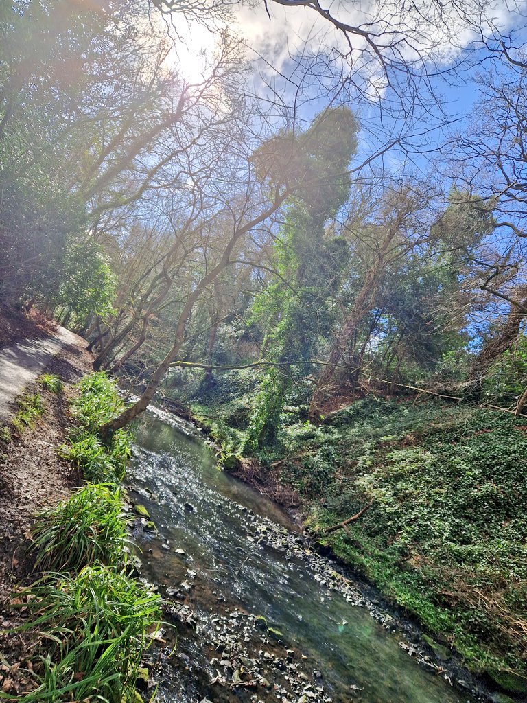 Sports Shop Boy tweet media