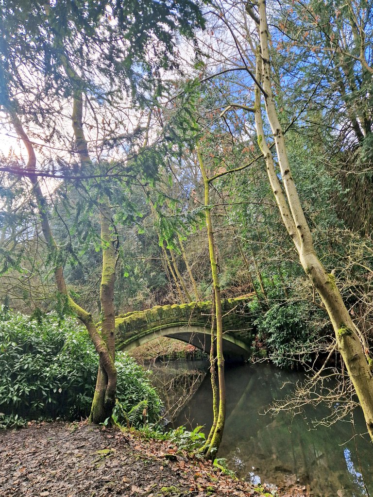 Jesmond Dene mornings 1/4