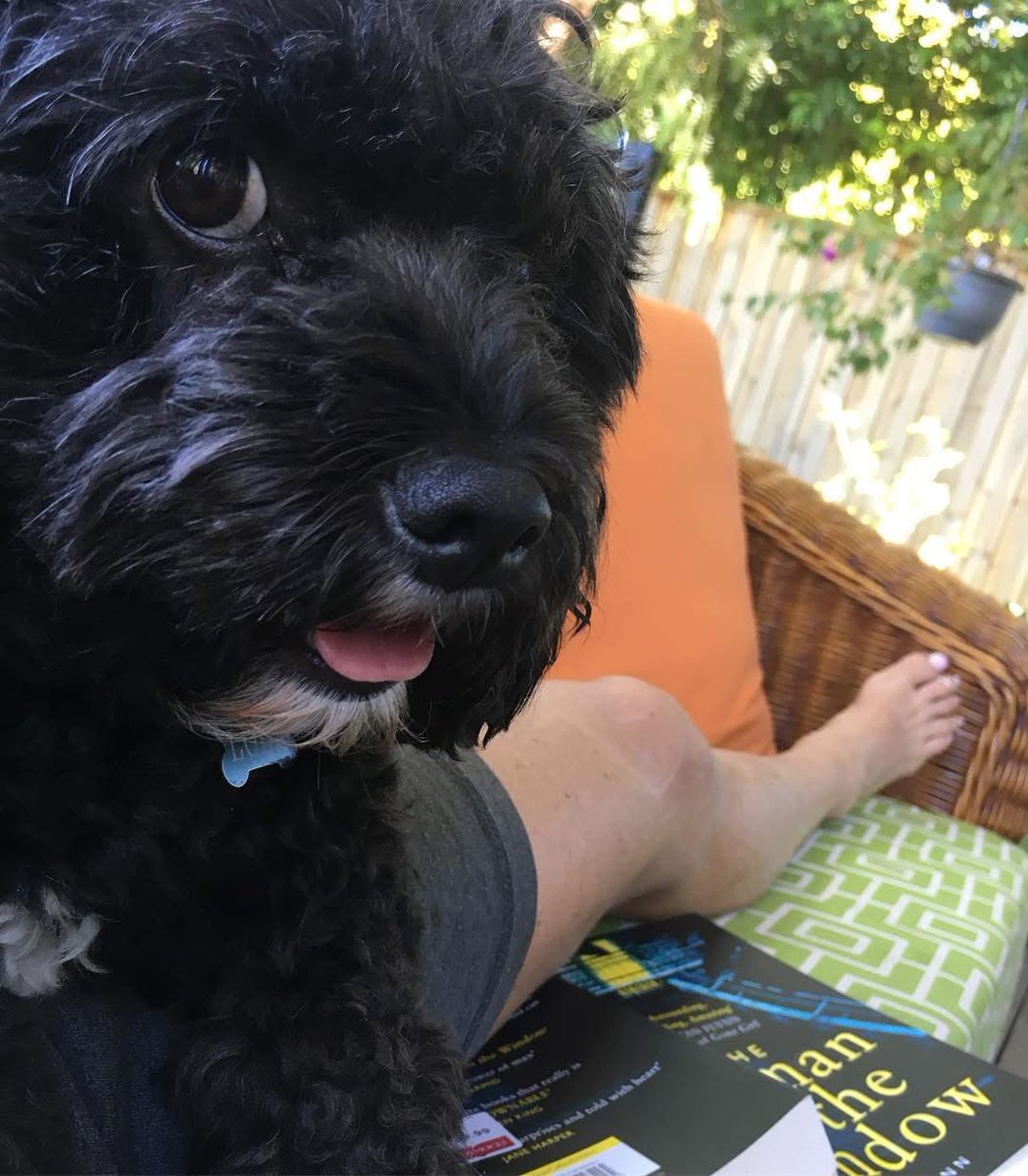 jacquirudd's tweet photo. @MissBaileyWoof Another oldie but goodie…
#SideEyeSaturday #selfiesaturday https://t.co/H0P39mPXwB