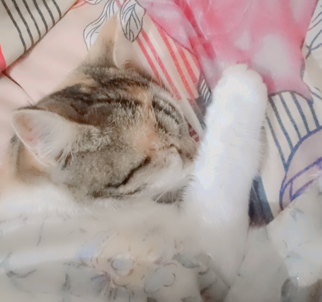 Roza LG gya hy muj ko too