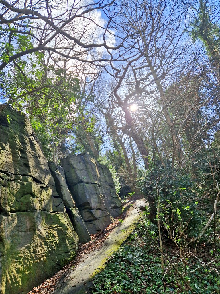 Sports Shop Boy tweet media