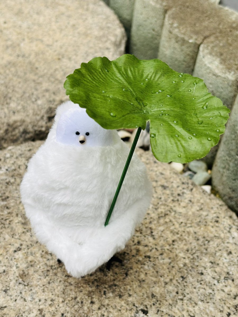 セリアですてきな傘みつけちゃったよ