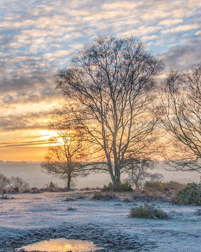 The best mornings #newforest #sunrise #weather