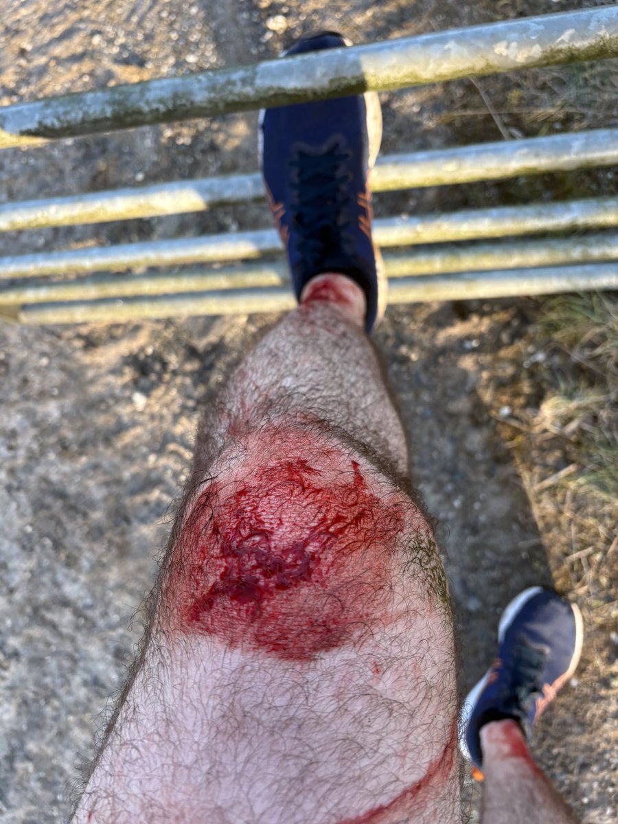 BoylePete1970 BIG OLD PETE tweet media