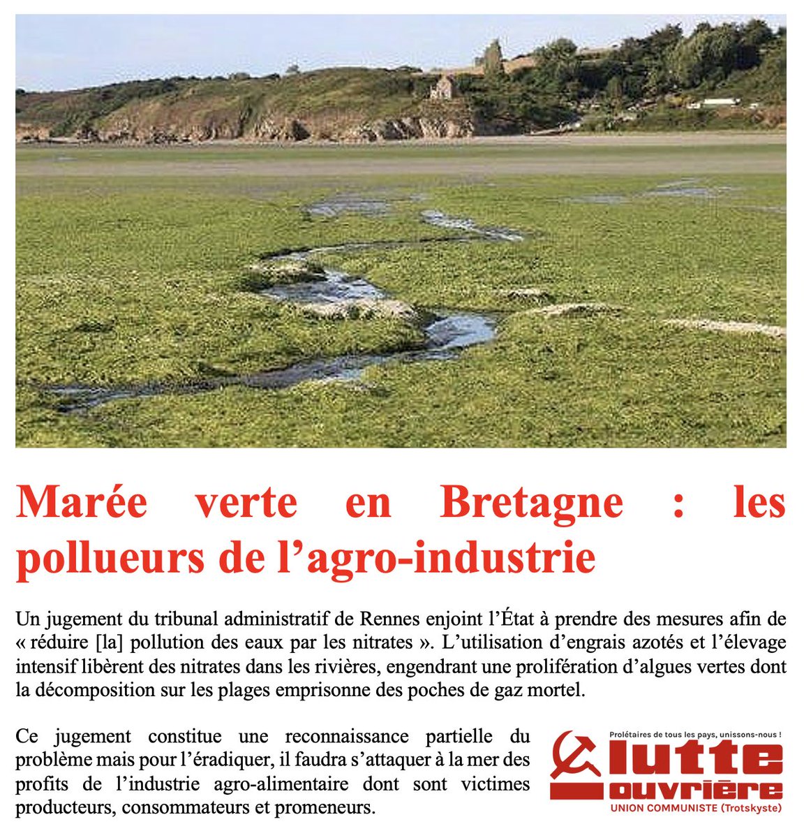 LutteOuvriere's tweet photo. Un jugement à Rennes reconnaît que les nitrates relâchés par les engrais azotés et l’élevage intensif engendre prolifération d’algues vertes dont la décomposition engendre des poches de gaz mortels.
Reste à s’attaquer aux profits de l’industrie agro-alimentaire ! https://t.co/bLQGVVcWFp