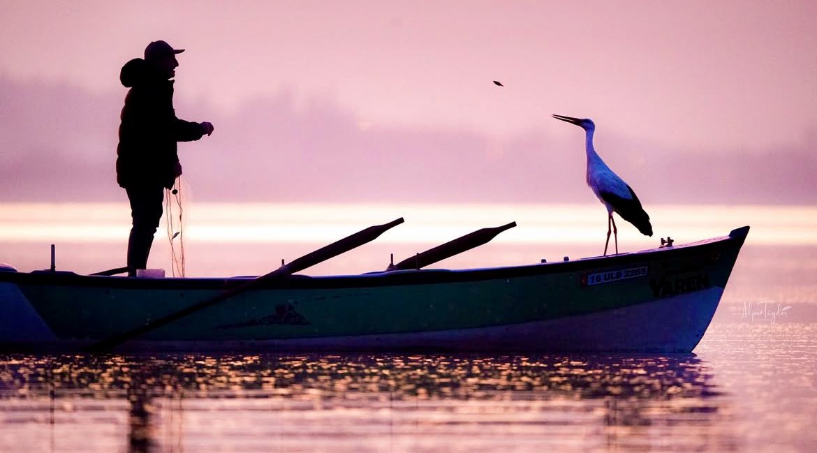 Vefa sadece fotoğraftakilerin dostluğunun ismi 🕊️
