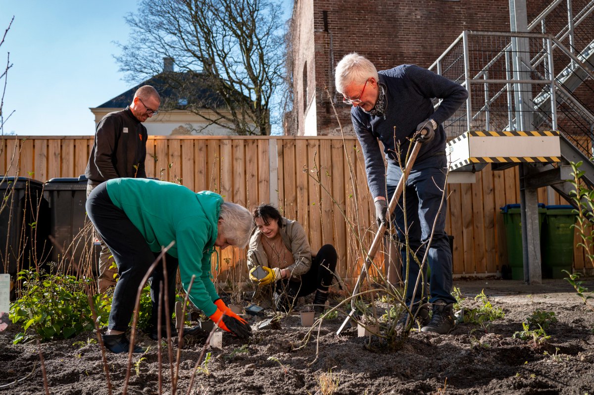 Bas van der Pol tweet media