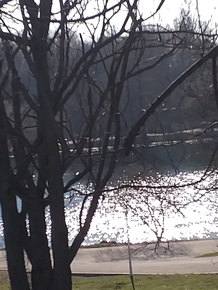 eriesence's tweet image. 