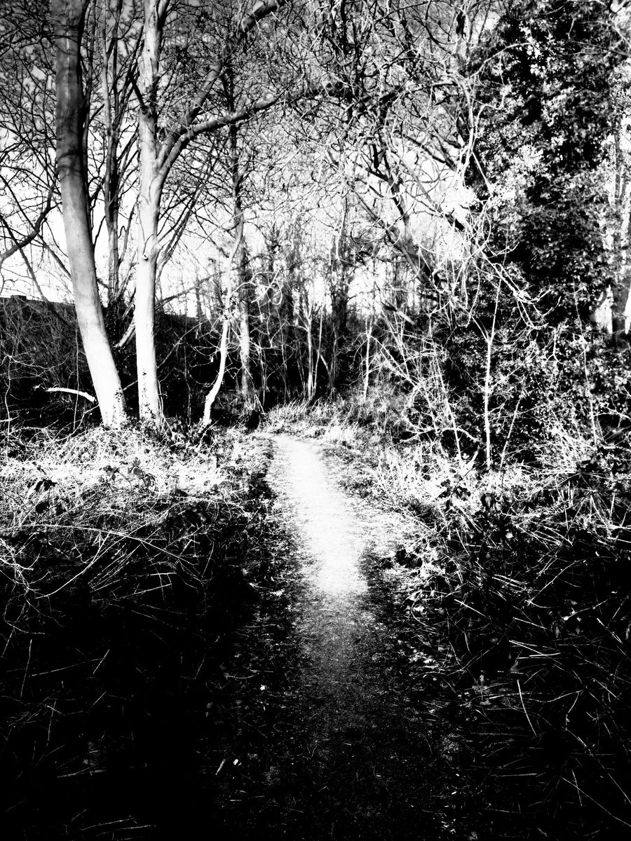 RayaJames420069's tweet photo. Taking a slave Into the woods where no one can hear you scream, remember to thank Master and Mistress for bringing you this suffering 😈😈 

#bdsm #OutdoorRomance #master #mistress #FinDom #pain #sadis https://t.co/pCzssNECIn