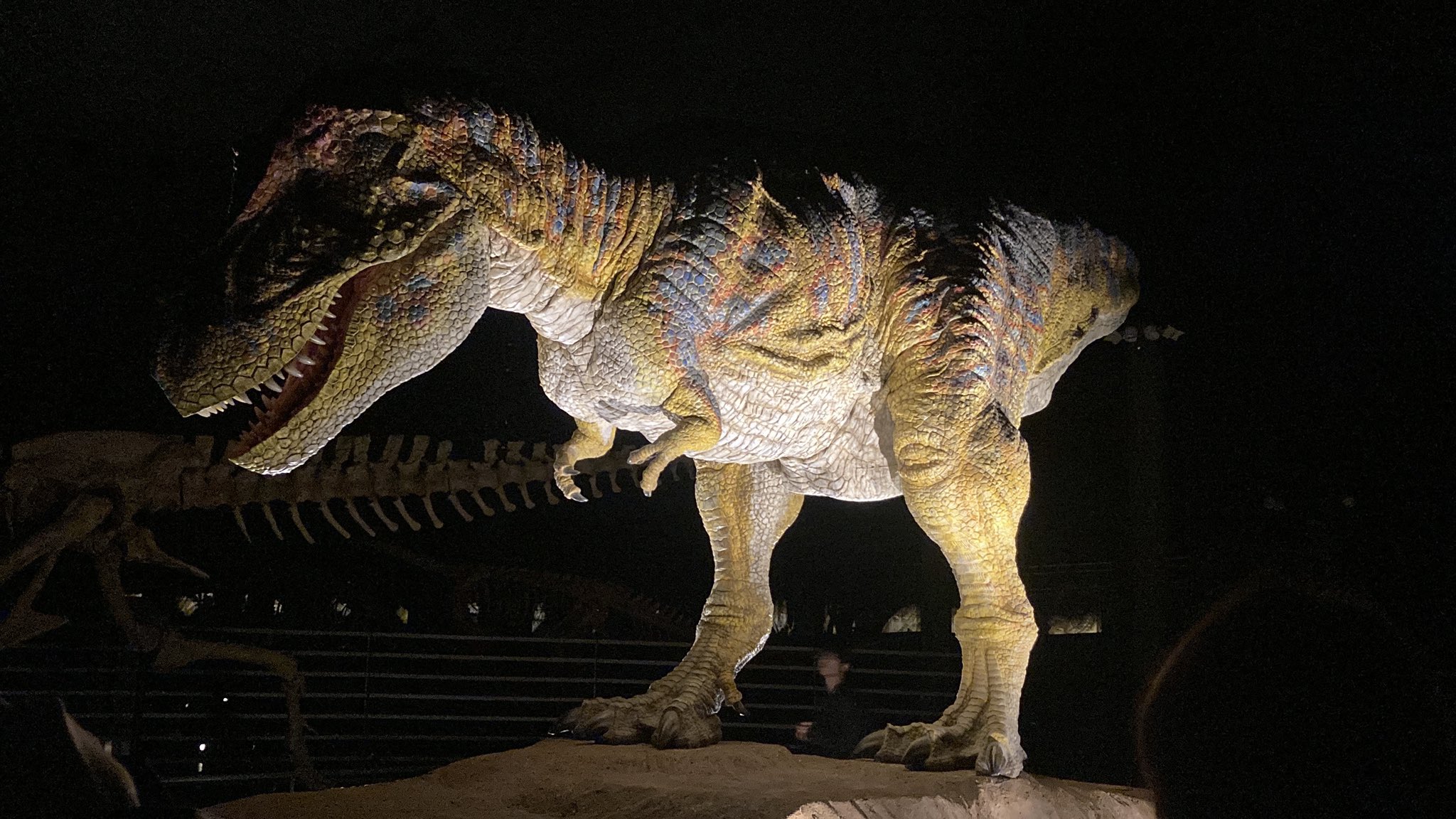 すばる (@dinosaur_subaru) / X