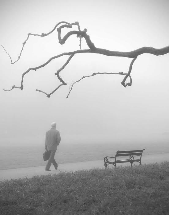 "El pasado nunca está donde crees que lo dejaste."
Katherine Anne Porter
📷 Anna Niemiec