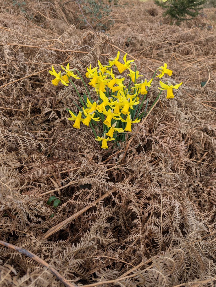 Phil Lengthorn 🌱 tweet media