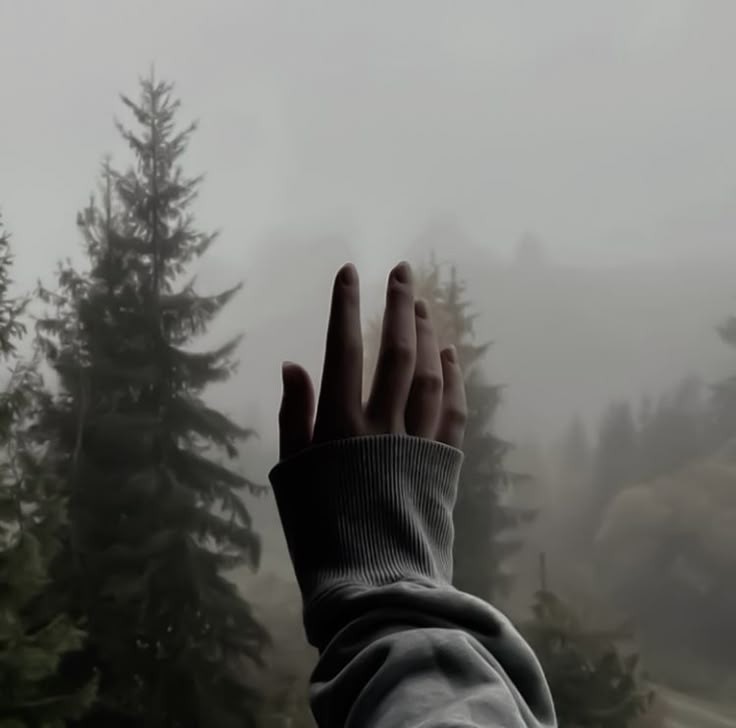 You woke up in a foggy morning
