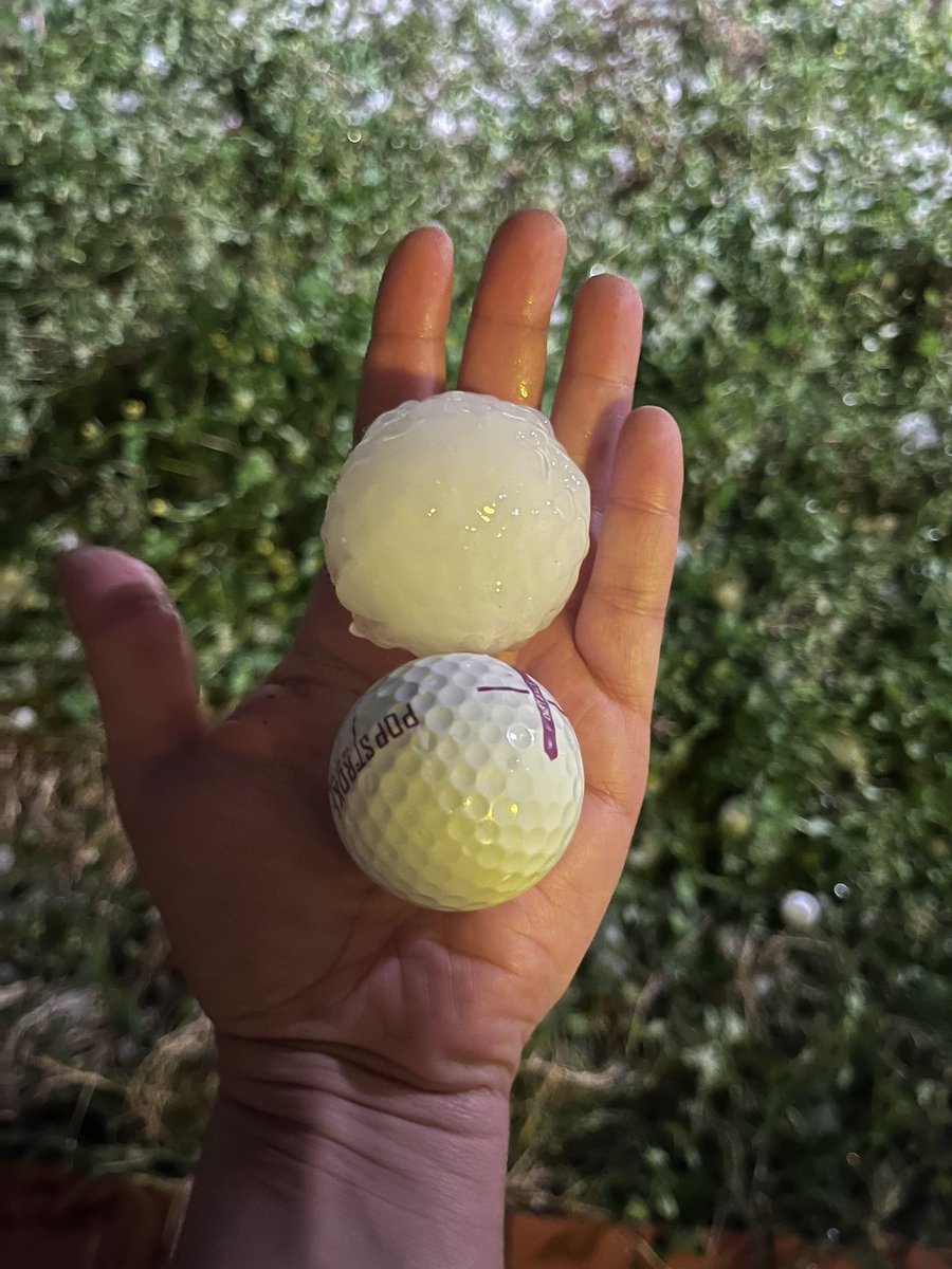 Christina Belanger, Ph.D tweet media