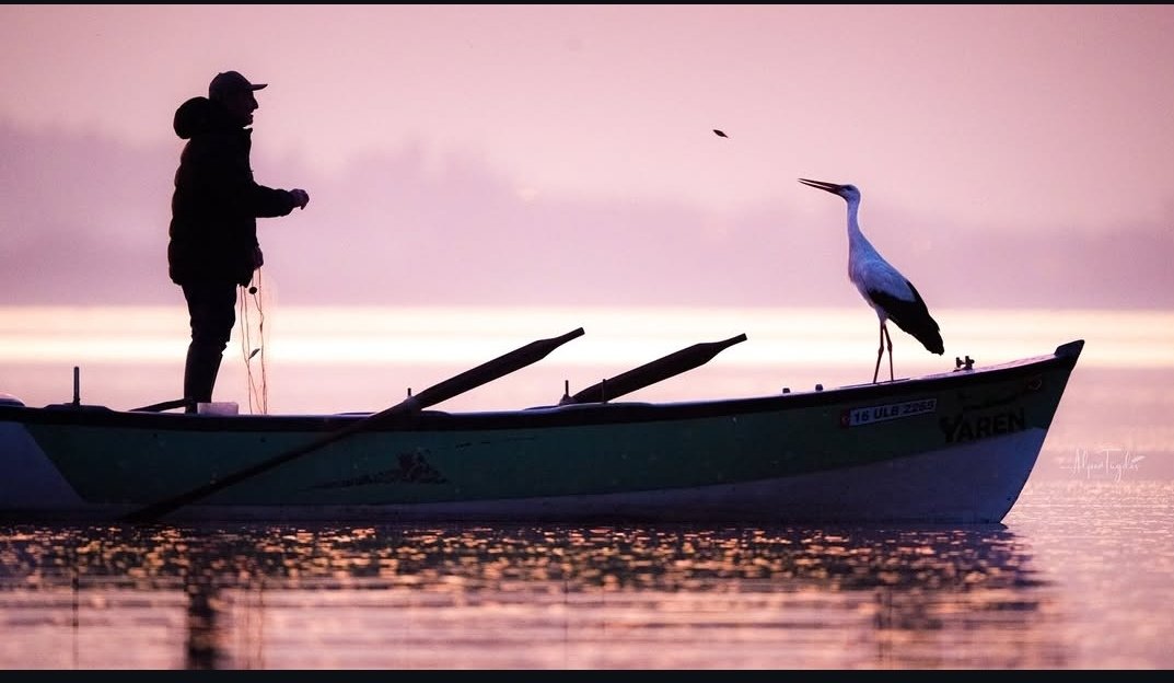 İşte şimdi bahar geldi. Yaren leylek Adem amca ile buluştu. <a href="/alpertuydes/">Alper Tüydeş</a> heyecanla bekliyorduk bu buluşmayı. Haberiniz baharımızı umutlandırdı 🙏🙏🙏