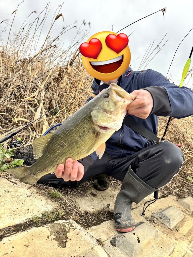 まめ吉 (@mamekichi0416) / Posts / X