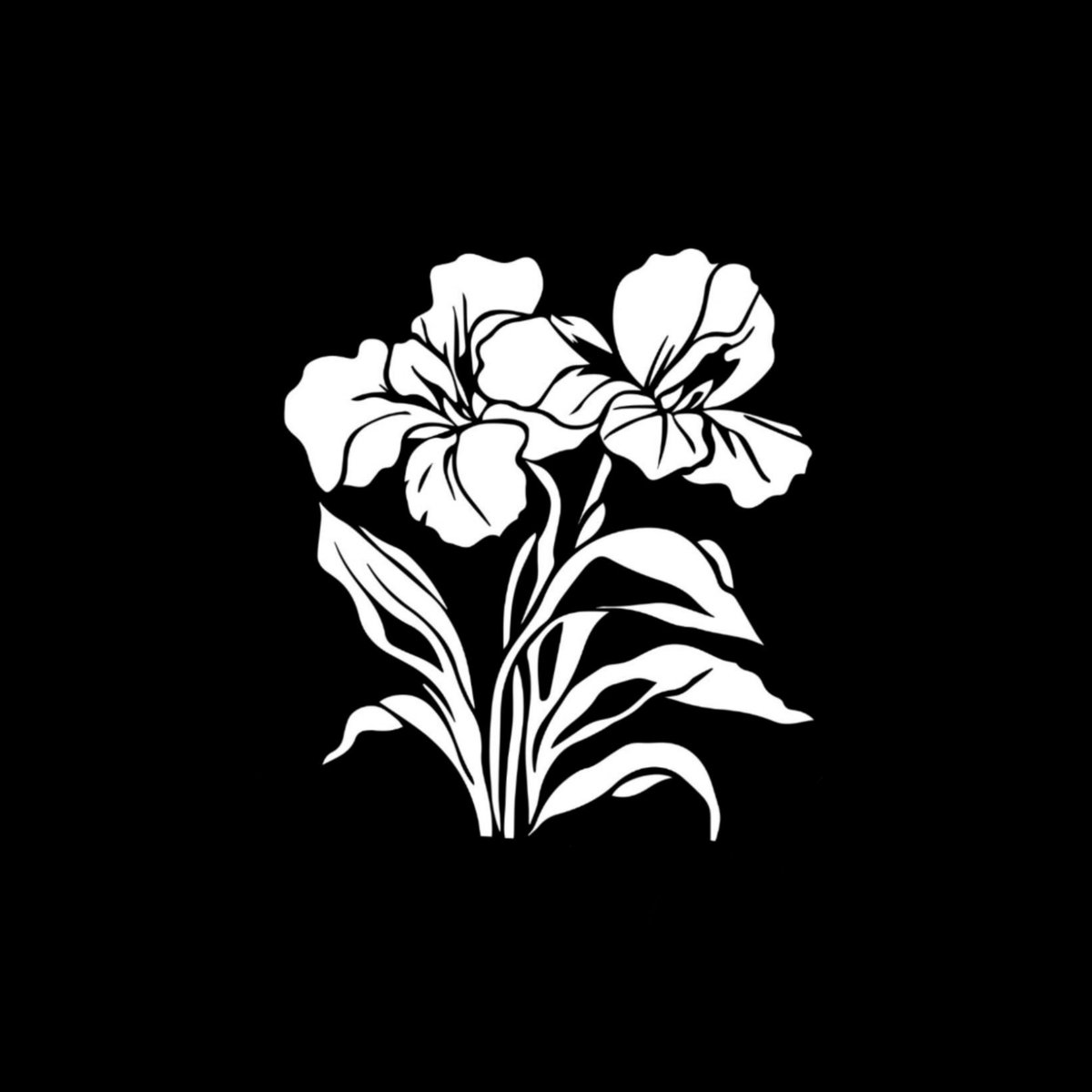 giecopink tweet picture