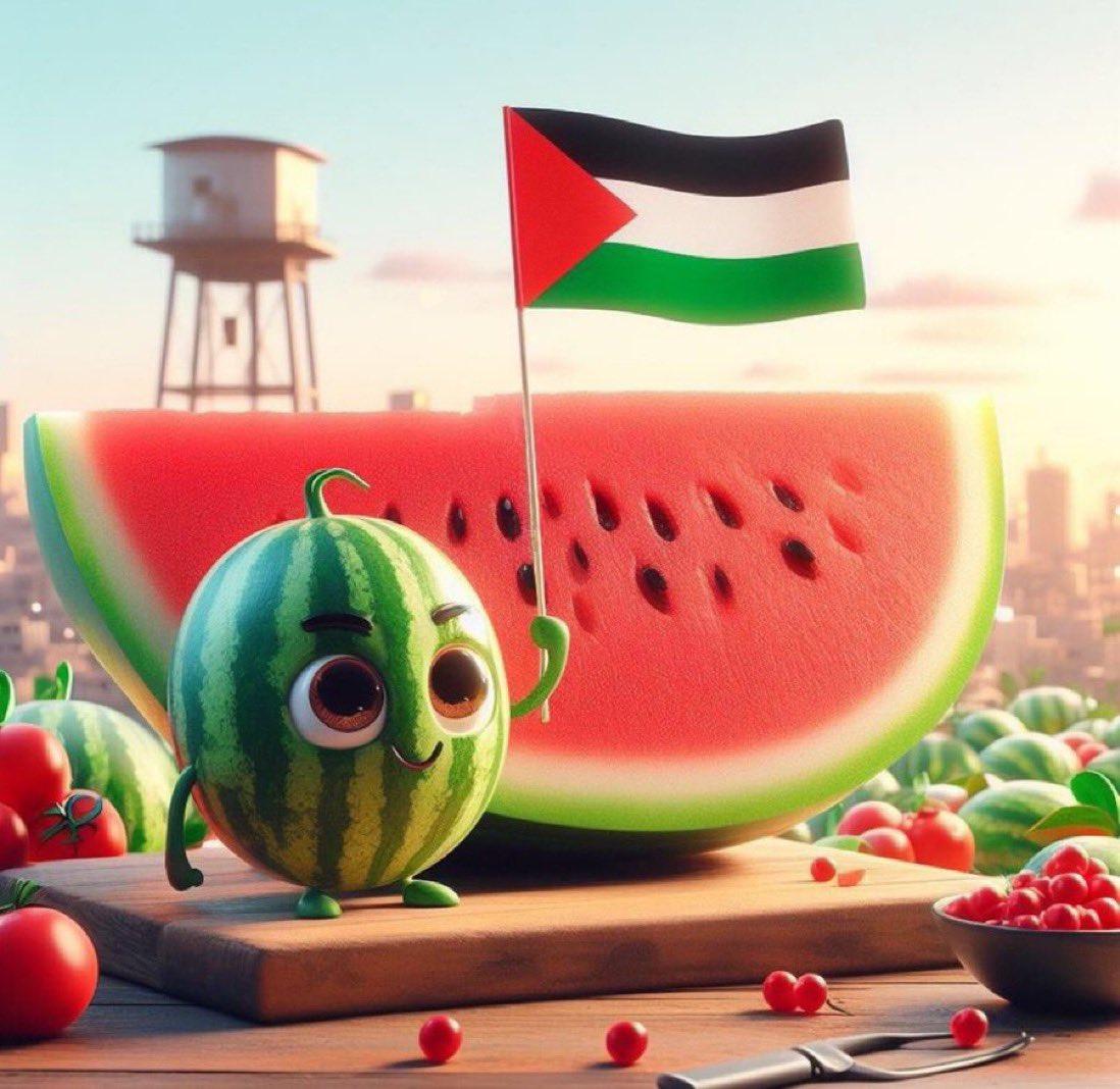 Eng. Judy 🇵🇸🍉 tweet media
