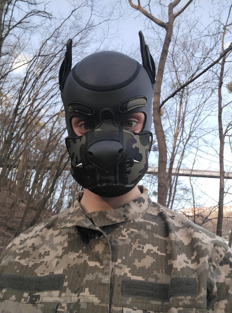 Army pup😅☺️