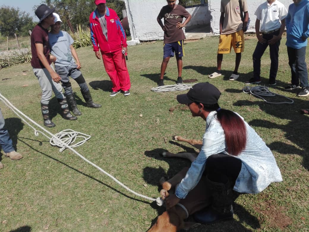 RobertoBorgesS5's tweet photo. Se desarrollan actividades de formación vocacional en el marco de la feria agropecuaria del CM Carmelo Noa Gil de Bayamo #ProvinciaGranma #EducaciónGranma #Cuba #Provi https://t.co/TavgAyu7Ut