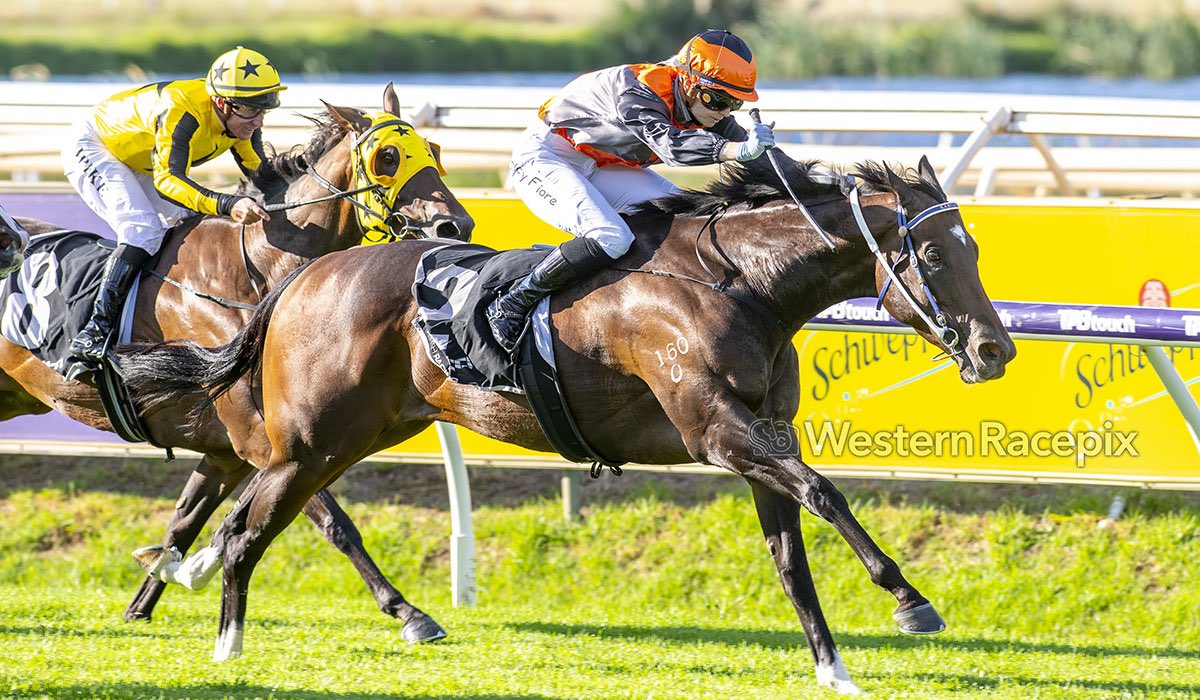 WesternRacepix's tweet photo. GENEROSITY - A-1 Engineering Sheila Gwynne Classic (Listed) @PerthRacing #WesternRacepix #IrishDay

More 📸 https://t.co/SigLznY1t7 https://t.co/XSQAO5vERM