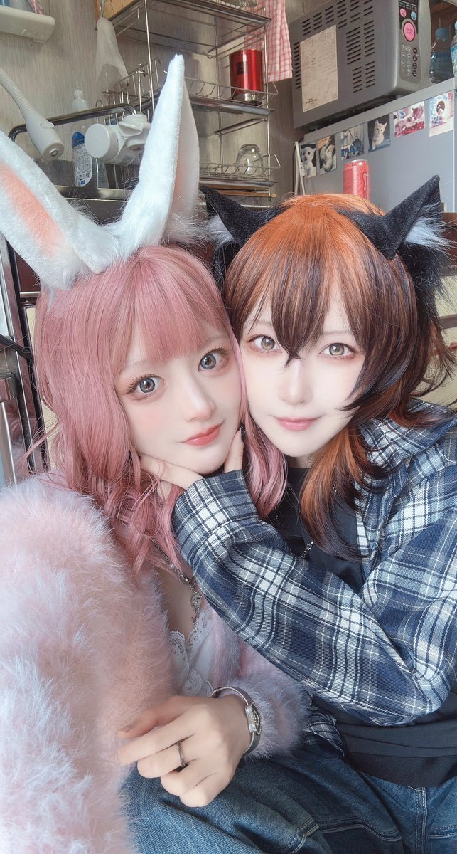 🦊🐰