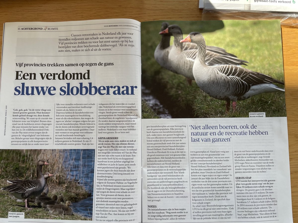 chriszeeven's tweet image. .@BBnieuws⁩ schrijft over gezamenlijke aanpak overlast door #ganzen. De groei en overlast van ganzen is een van de grote successen van @vogelnieuws, dat ten koste is gegaan van bijvoorbeeld #weidevogels. 
Alles voor de gans was het motto met 55 miljoen aan schadeloosstelling.