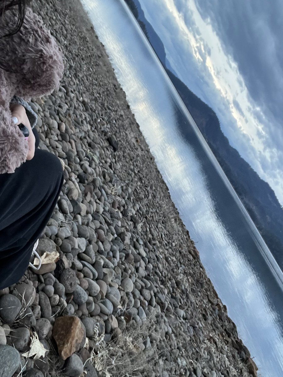 Xave090's tweet photo. March time madness 🌲📸🎶🍄. https://t.co/Dg32TnaHXR