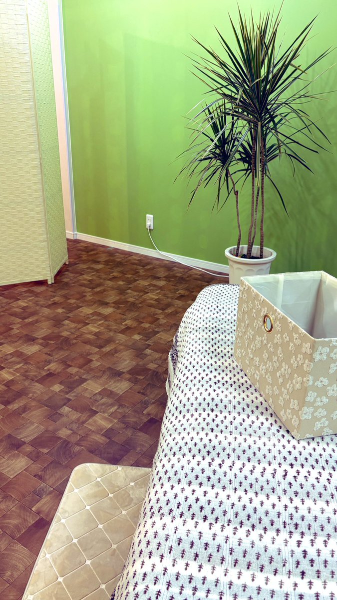 今日はちょっと寒かったので
電気毛布のスイッチオンにして
お客様のお出迎え🤗

夕方になって更に寒くなってきたー🍃
寒の戻りー🤧

まずは自分をご機嫌に🫶 
ご縁と感謝を大切に🌼*･

 #霧島市リラクゼーション  #リラクゼーション  #もみほぐし #霧島市  #セラピストさんと繋がりたい  #足つぼ