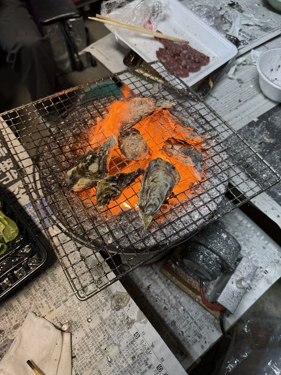jf3ipr's tweet photo. かきどす。 https://t.co/LvZ2a86ohA
