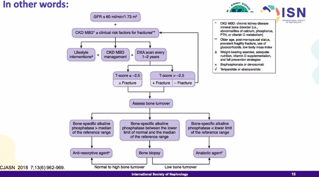 Jasmine Sethi (@jasminenephro) on Twitter photo 🦴🫘Approach to CKD Renal Osteodystrophy
<a href="/ISNkidneycare/">Int Society of Nephrology</a> <a href="/ISNeducation/">ISN Education</a>
Slide courtesy <a href="/KajareeG/">Kajaree Giri</a> 🦴🫘Approach to CKD Renal Osteodystrophy
<a href="/ISNkidneycare/">Int Society of Nephrology</a> <a href="/ISNeducation/">ISN Education</a>
Slide courtesy <a href="/KajareeG/">Kajaree Giri</a>