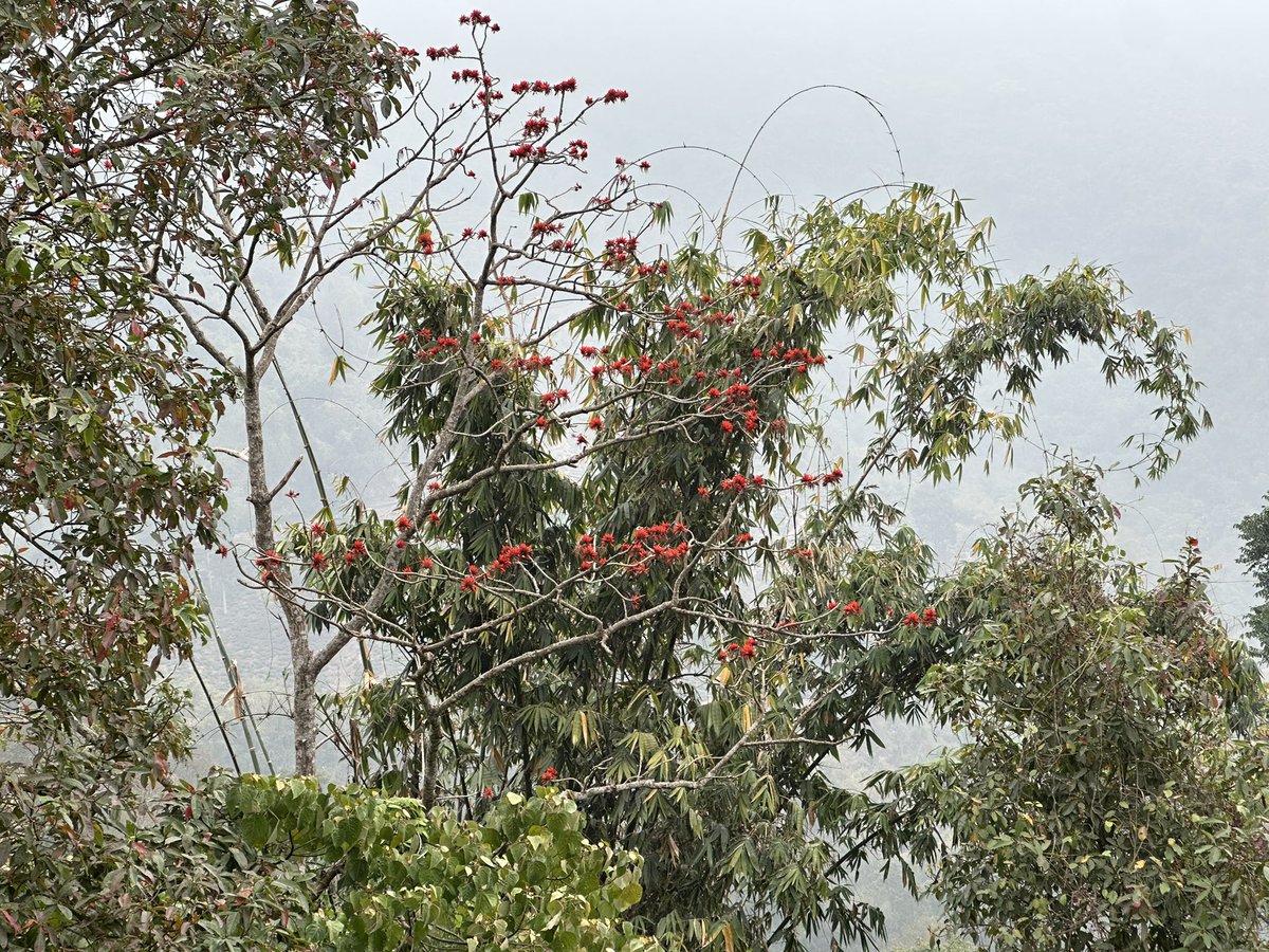 Shrutiswaroop's tweet photo. The bird doesn’t trust the branch it sits on, it’s trust is on its wings
#believeinself https://t.co/TQekbLUuBD