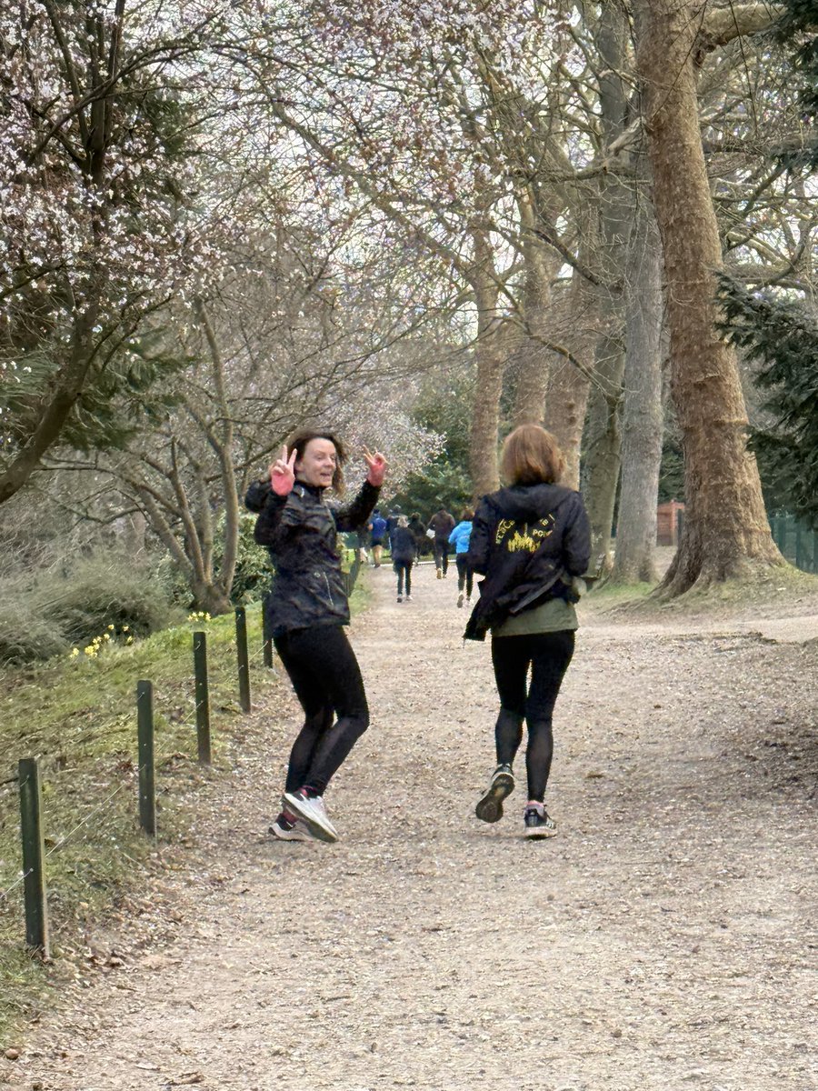 KARL OLIVE tweet media