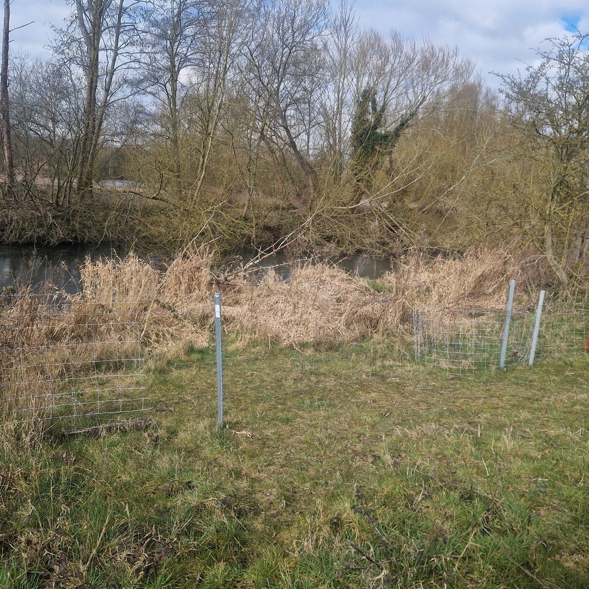 Rob Hodgkins tweet media