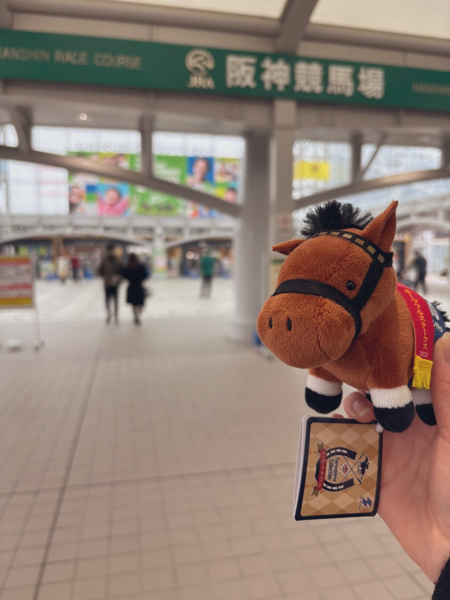 miconyoro's tweet photo. キッド君と初お出かけ阪神競馬場 https://t.co/ba95qw0FsF