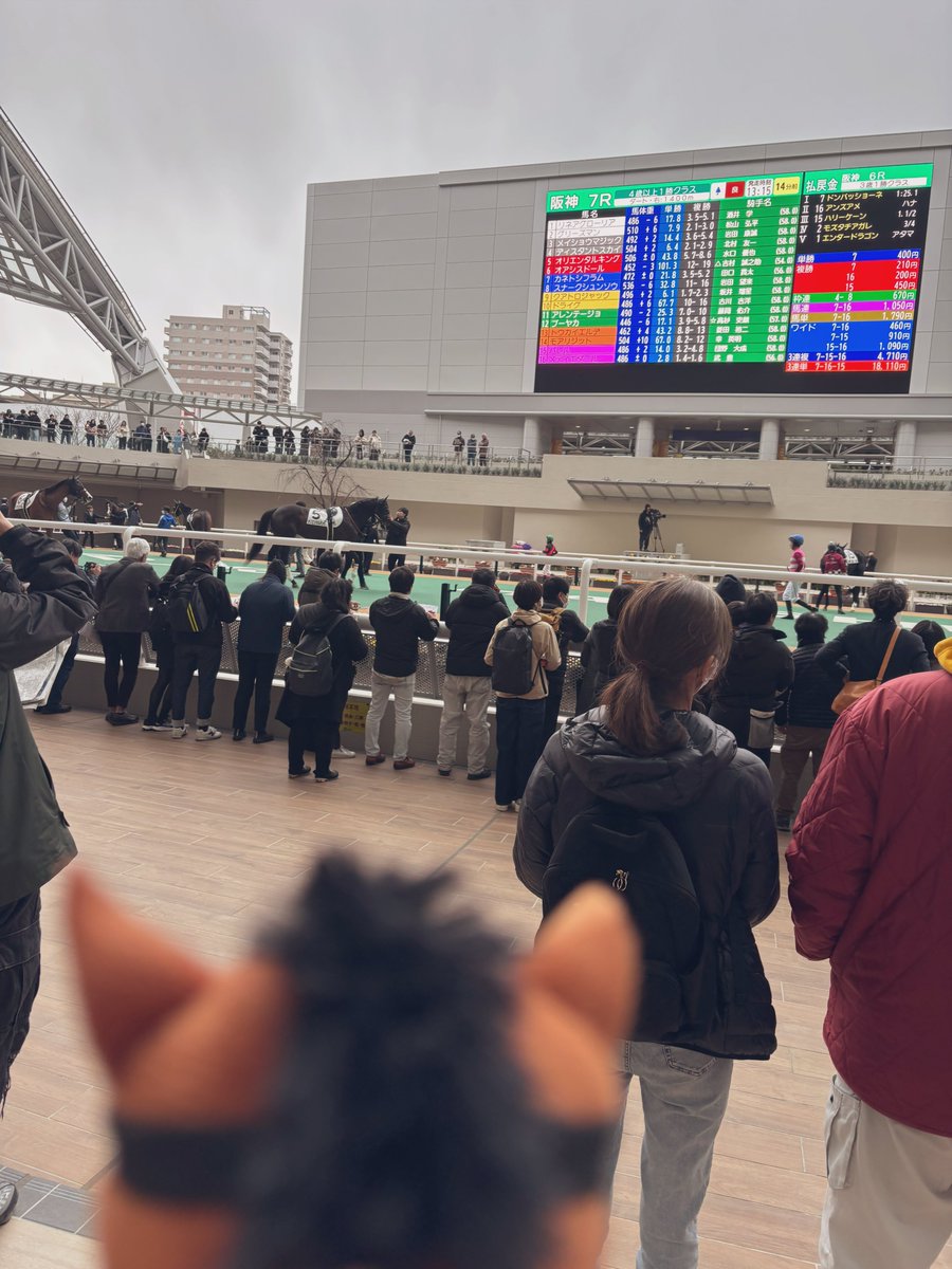 miconyoro's tweet photo. キッド君と初お出かけ阪神競馬場 https://t.co/ba95qw0FsF