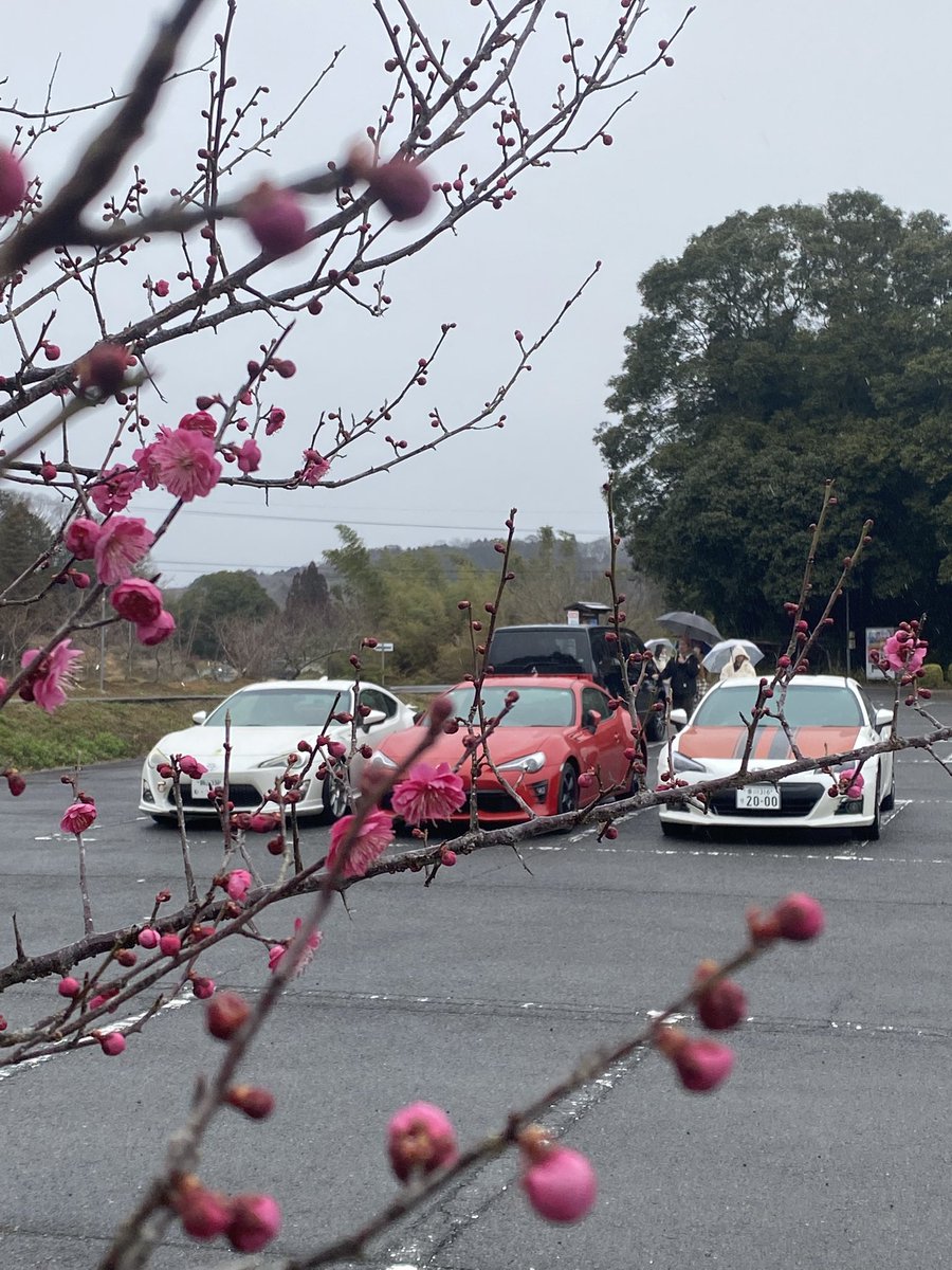okayama86brz's tweet photo. 梅はまだ満開には程遠いかなぁ(;´д`)
小雨☔️が降って寒いから早々退散😅
#86BRZ
#神代梅の里公園
#R429
#今年は梅の開花が遅い https://t.co/3jSufEKPY9