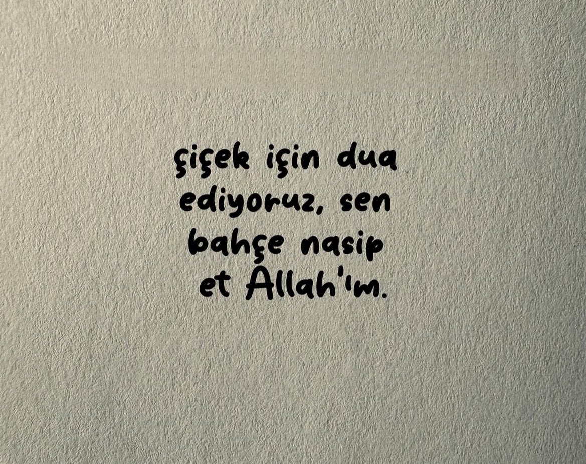 𝔞𝔩𝔟𝔞𝔩𝔦𝔞 (@birmahzunn) on Twitter photo 